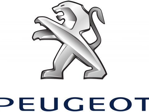 Tampon 1610766980 PEUGEOT pentru Peugeot 308