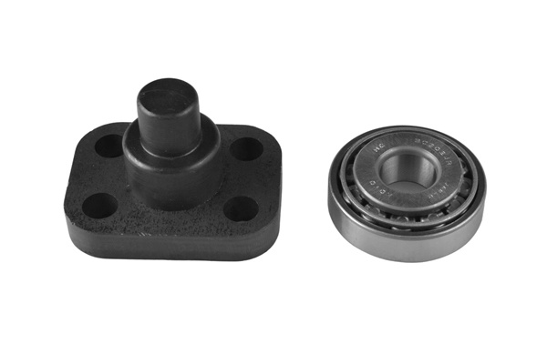 TEDGUM Chit reparatie, articulatie directie montare Axa fata ambele parti TED52917 compatibil cu SUZUKI SAMURAI autoturism de teren, inchis (SJ_) 1984 1985 1986 1987 1988 1989 1990 1991 1992 1993 1994 1995 1996 1997 1998 1999 2000 2001 2002 2003 2004