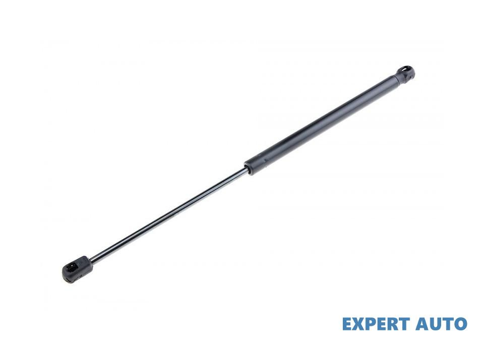 Telescop haion Dacia Sandero 2 (2013-) #1 904529943R