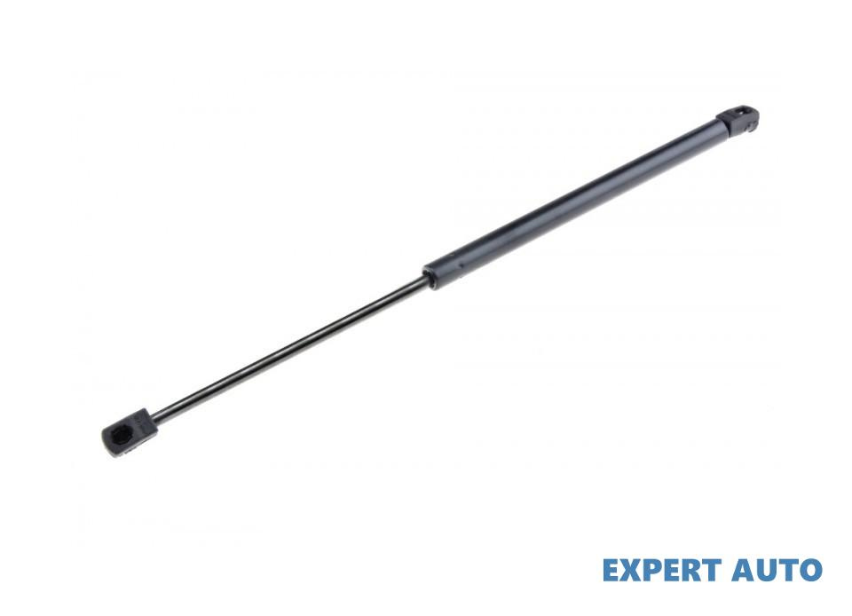 Telescop haion Renault Megane III (2008->)[BZ0/1_,KZ0/1_,DZ0/1_] #1 844300009R