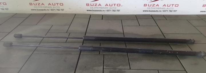 Telescop haion stanga/dreapta Cod: 904520418R Renault Espace 5 [2015 - 2019]