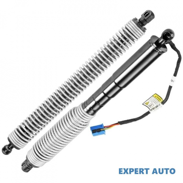 Telescop haion stanga spate BMW Seria 1 (2010->) [F20] #1 51247357109