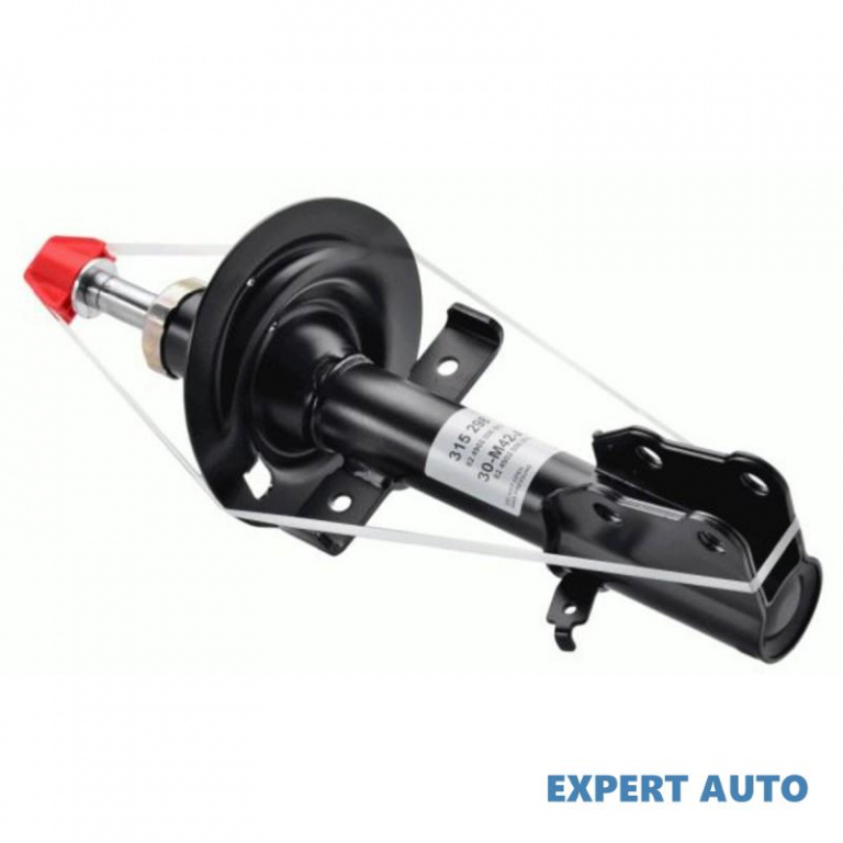 Telescop Renault KANGOO Express (FW0/1_) 2008-2016