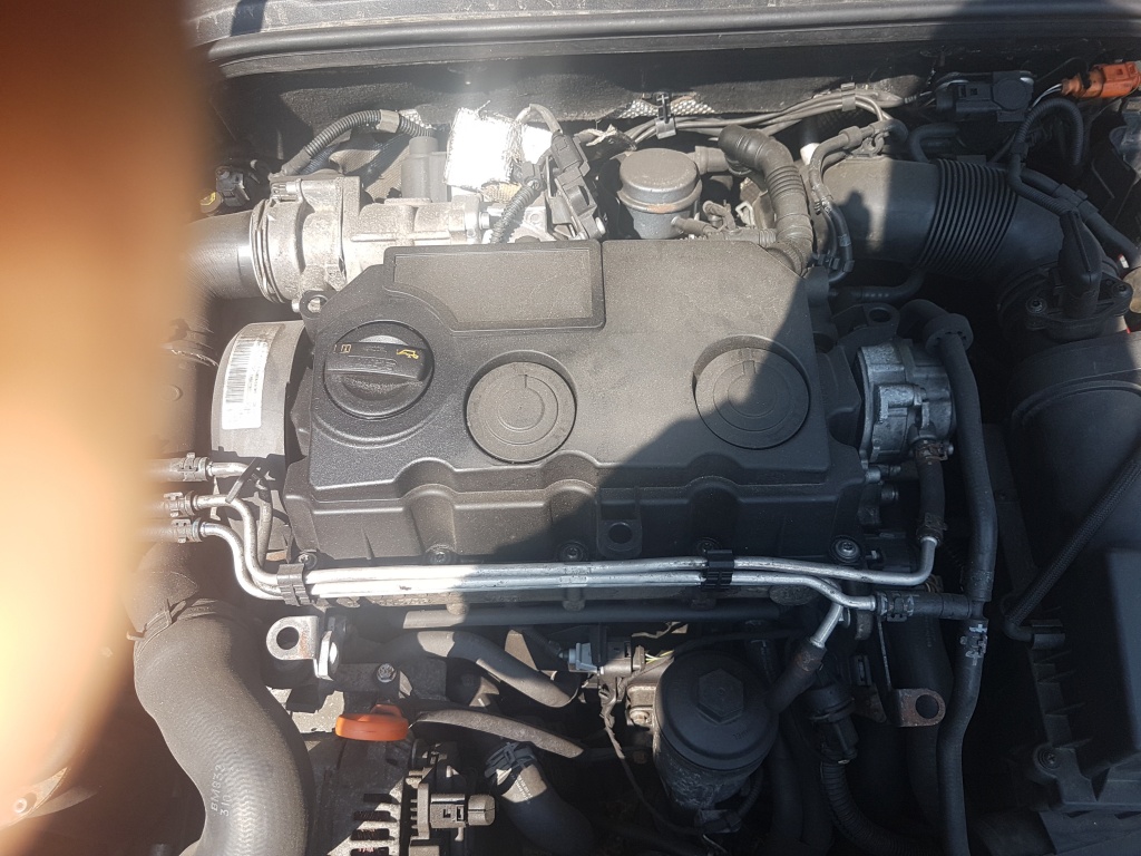 Termoflot Audi A3 8P 2008 hatchback 1.9 