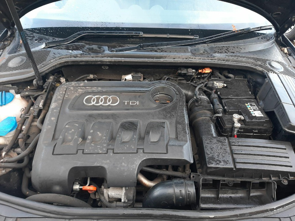Termoflot Audi A3 8P 2011 Hatchback 2.0 IDT
