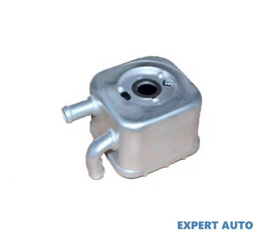 Termoflot Audi AUDI A4 Cabriolet (8H7, B6, 8HE, B7) 2002-2009 #2 046004N