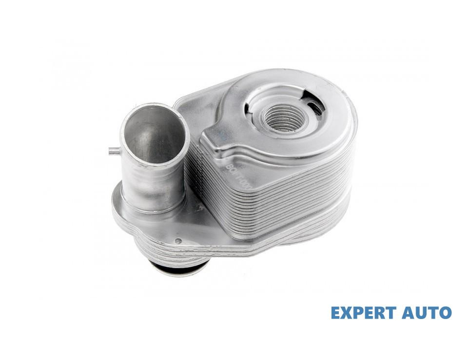 Termoflot Fiat Ducato (2006->) [250] #1 504375378