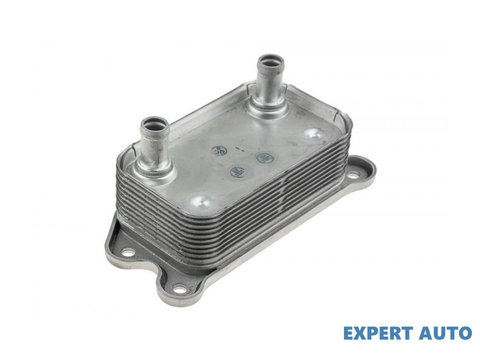 Termoflot Ford Focus 2 (2004-2010) [DA_] #1 30637966