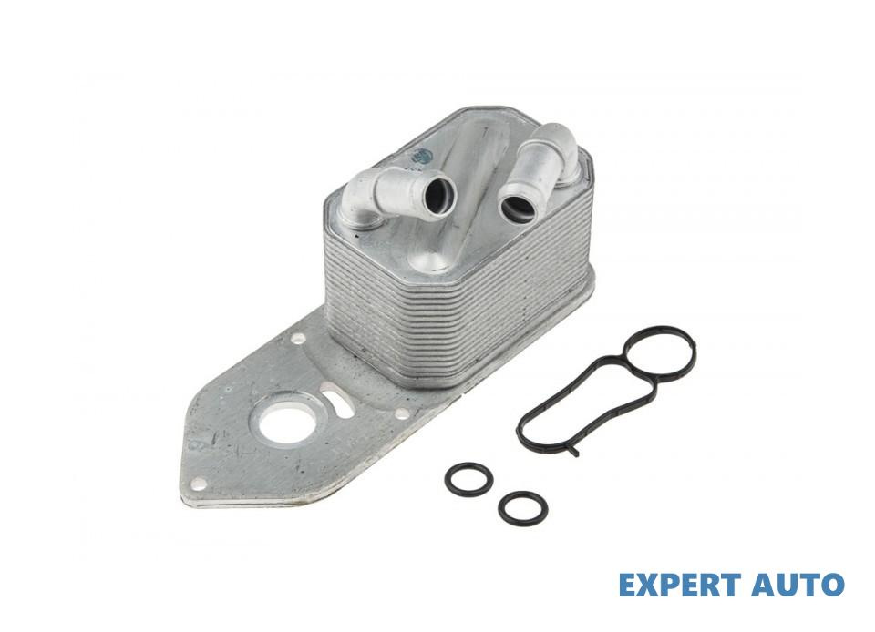 Termoflot Ford TRANSIT (2015->) #1 2011393