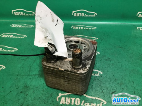 Termoflot racitor Ulei 038117081 1.9 TDI Volkswagen GOLF IV 1J1 1997-2005