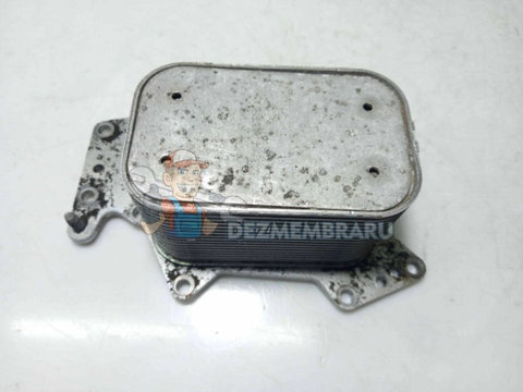 Termoflot Radiator Racitor Ulei 059117021K, Audi A6 (4F2, C6), 3.0 TDI, CDYA