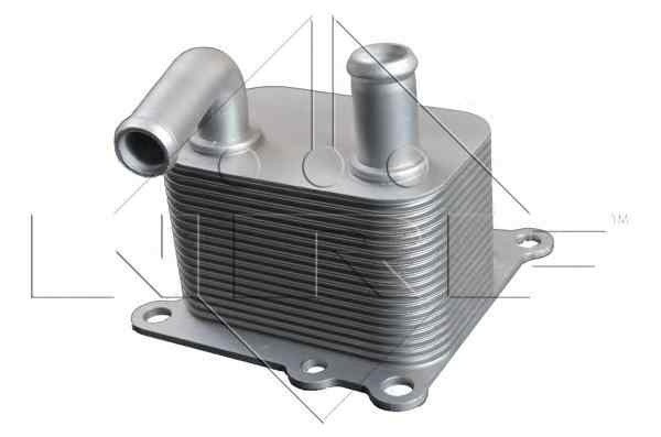 Termoflot radiator ulei FORD FOCUS limuzina (DFW) NRF 31219