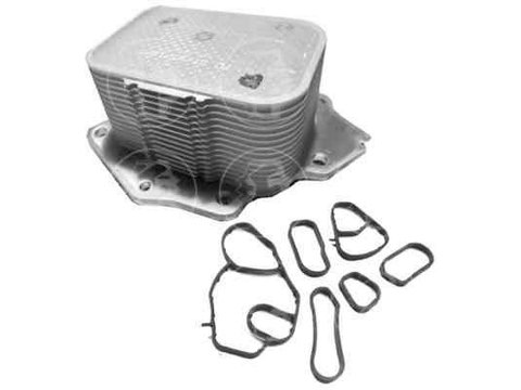 Termoflot radiator ulei MINI MINI CLUBMAN (R55) Citroen 1104.36