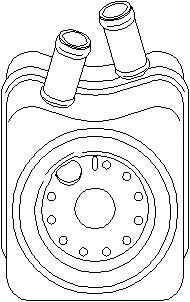 Termoflot radiator ulei VW CADDY II combi (9K9B) T