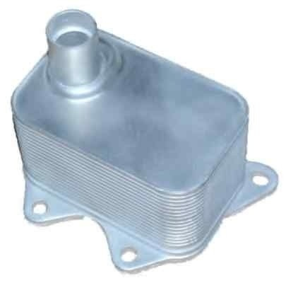 Termoflot radiator ulei VW GOLF IV (1J1) NRF 31004A