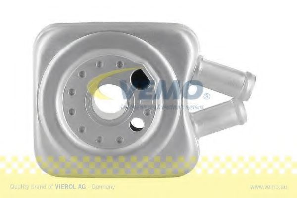 Termoflot / radiator ulei VW NEW BEETLE (9C1, 1C1)