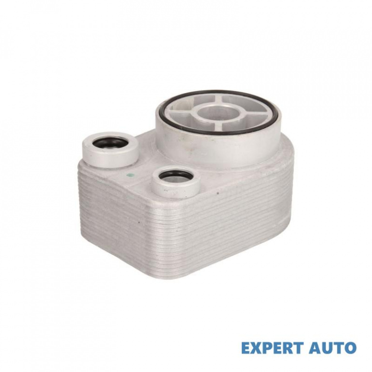 Termoflot Renault MEGANE II Coupe-Cabriolet (EM0/1_) 2003-2009 #4 07094001