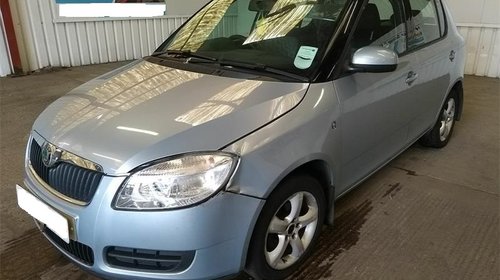 Termoflot Skoda Fabia II 2010 Hatchback 