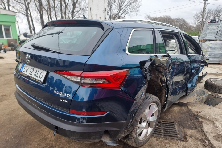 Termoflot Skoda Kodiaq 2018 SUV 2.0