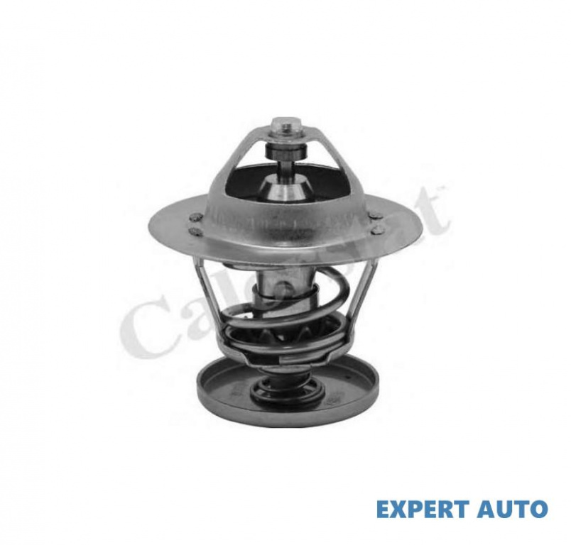 Termostat Ford S-Max (2006->) #2 1086282