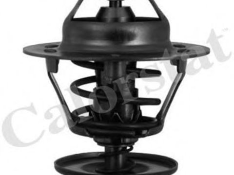 Termostat FORD TRANSIT CONNECT (P65_, P70_, P80_) (2002 - 2016) CALORSTAT by Vernet TH5750.92J