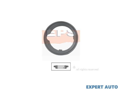 Termostat Honda INSIGHT (ZE_) 2009-2016 #2 19305PJ7000