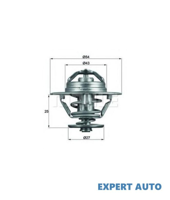 Termostat Iveco DAILY III platou / sasiu 1999-2006 #8 133890