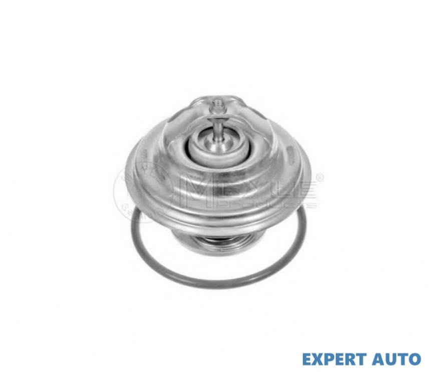 Termostat,lichid racire Audi AUDI A6 Avant (4A, C4) 1994-1997 #2 0282710006