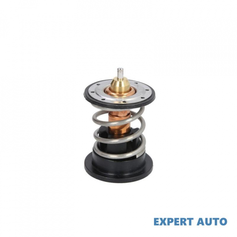 Termostat,lichid racire BMW X6 (E71, E72) 2008-201