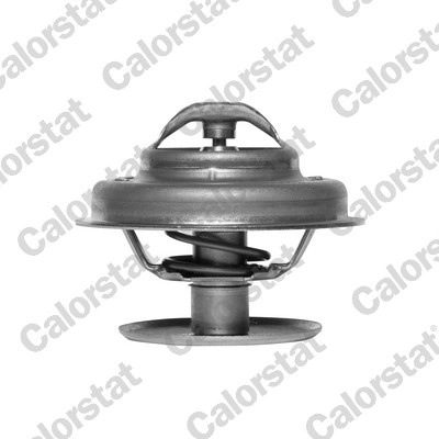 Termostat,lichid racire CALORSTAT by Vernet TH1533