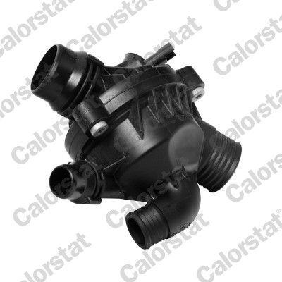Termostat,lichid racire CALORSTAT by Vernet TE2108