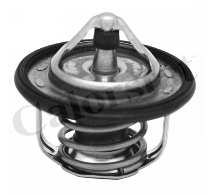 Termostat,lichid racire chiulasa (TH730095J CALORSTAT by Vernet) NISSAN,RENAULT
