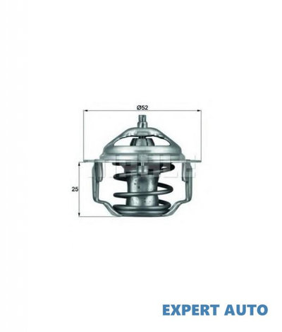 Termostat,lichid racire Hyundai GALLOPER II (JK-01