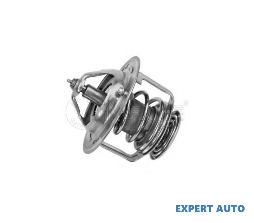 Termostat,lichid racire Hyundai GETZ (TB) 2002-201