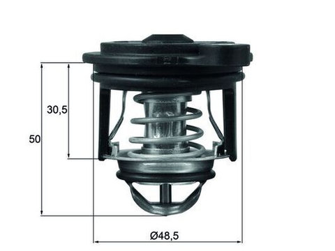 Termostat,lichid racire MAHLE TI 246 50