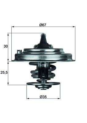 Termostat,lichid racire MAHLE TX 30 92D