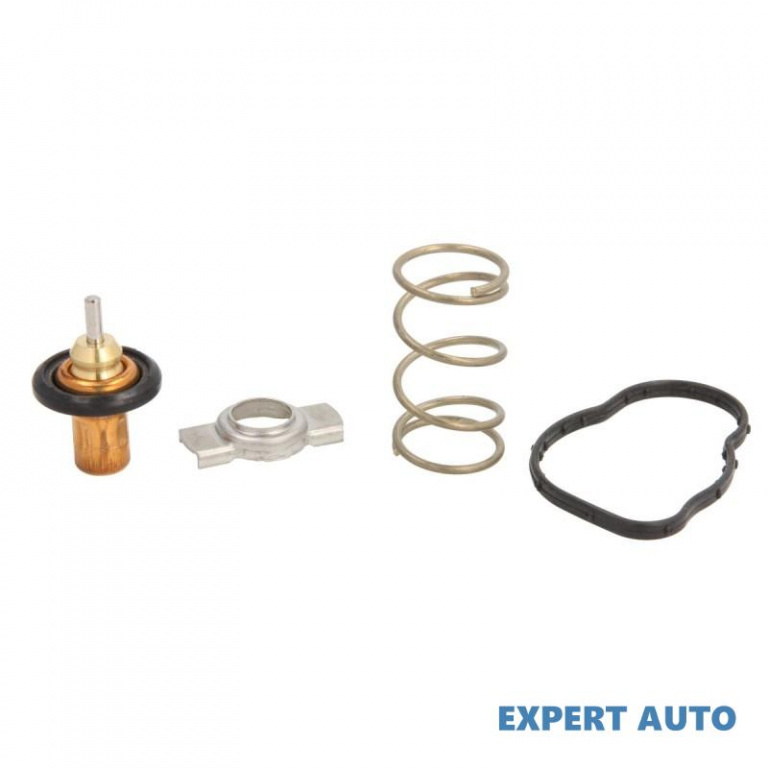 Termostat,lichid racire Renault GRAND SCENIC III (