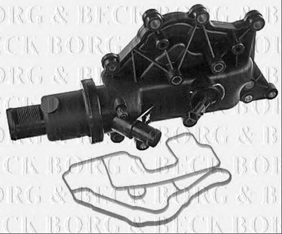 Termostat lichid racire RENAULT KANGOO Express FW0 1 BORG & BECK BBT301