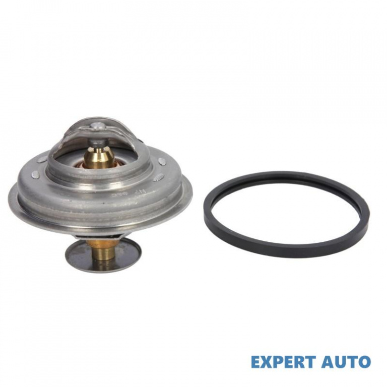 Termostat,lichid racire Renault TRAFIC bus (T5, T6