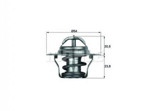 Termostat,lichid racire Seat SEAT CORDOBA Vario (6K5) 1999-2002 #2 050121113C