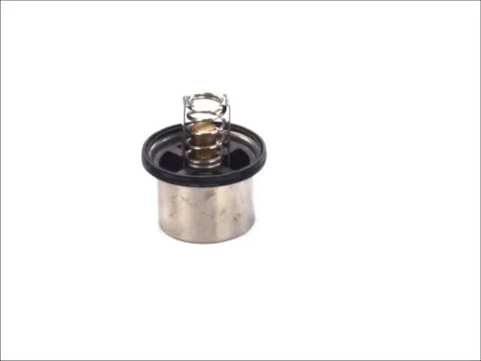 Termostat lichid racire Thermotec IVECO EUROTRAKKER 1999-2004 - D2VO002TT
