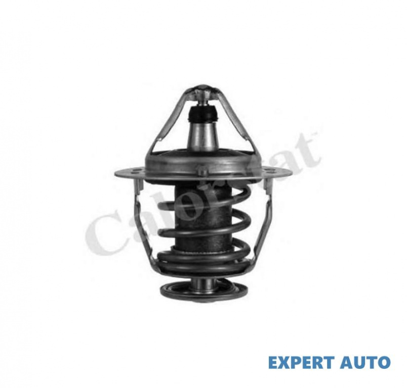 Termostat,lichid racire Toyota DYNA platou / sasiu