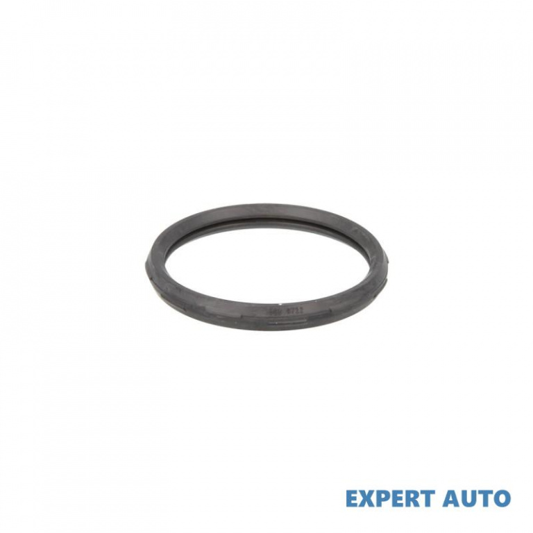 Termostat Nissan Qashqai (2007->)[J10,NJ10,JJ10E] #8 1890722