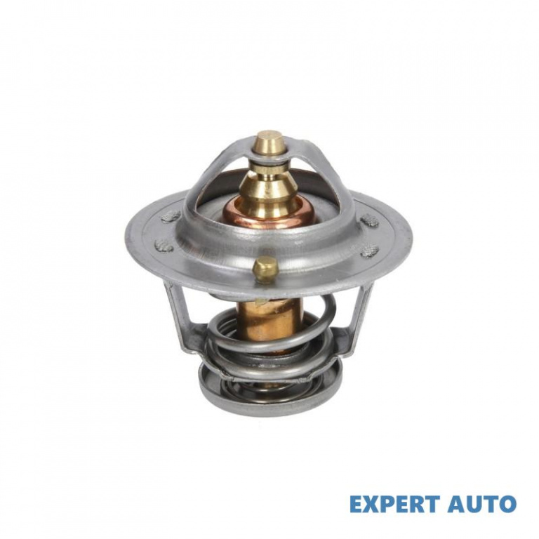 Termostat Nissan TERRANO Mk II (R20) 1992-2016 #2 1880276S