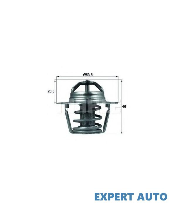 Termostat Renault CLIO caroserie (S57_) 1991-1998 #8 27689