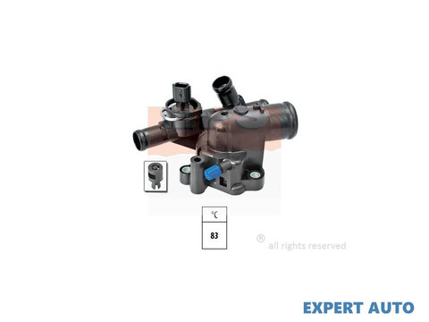 Termostat Renault GRAND SCENIC II (JM0/1_) 2004-2016 #2 1106100Q0A