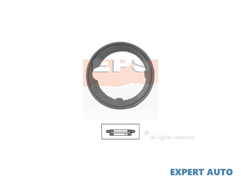 Termostat Rover 400 (XW) 1990-1995 #2 19305PJ7000