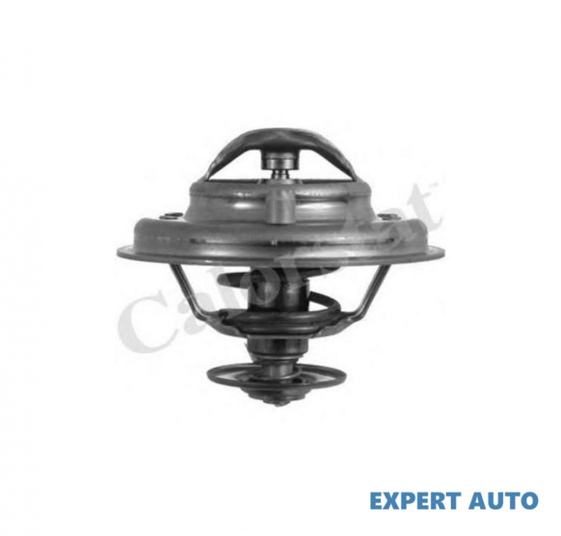 Termostat Seat SEAT LEON (1M1) 1999-2006 #2 0052032975