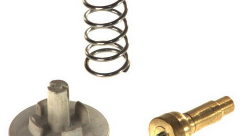 Termostat Topran Volkswagen Passat B6 2005-2010 11