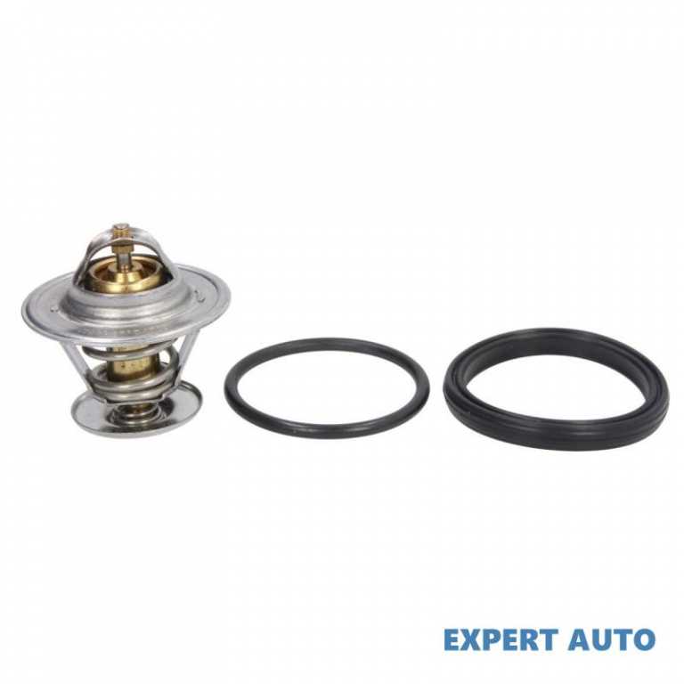 Termostat Volkswagen VW GOLF V Variant (1K5) 2007-2009 #2 03G121111A